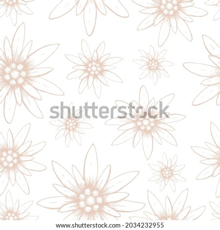 Seamless pattern. Hand drawn  illustration of a edelweiss on a white background. A symbol of mountaineering, climbing, mountain hiking, trekking. Handwritten graphic technique
