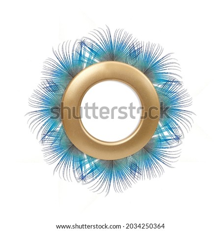 Golden frame with blue feathers for paintings, mirrors or photo isolated on white background