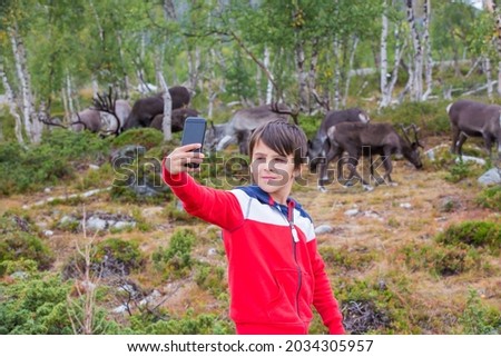 Preteen child, taking picture with phone with a herd of reindeers in the forest, Lapland in Finland summertime