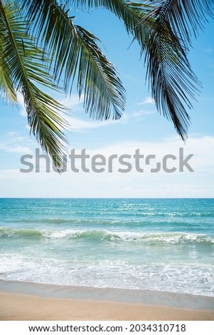 The best photo frame coconut trees on beach.Amazing palms on island blue sky and clouds background. sun light in summer.Pattern trees on sunset silhouette.Peaceful pop up.