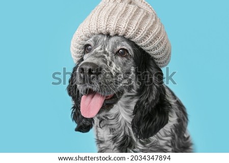 Cute dog wearing warm hat on color background. Concept of heating season
