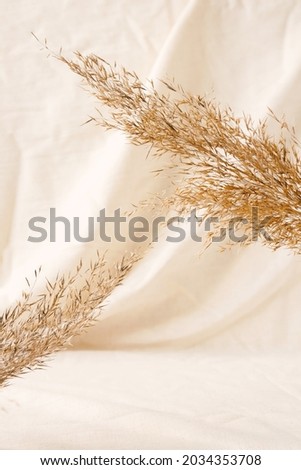 Dry plant on linen fabric minimalistic background for cosmetic product branding and product, identity or packaging presentation. Natural composition with copy space in beige color, vertical