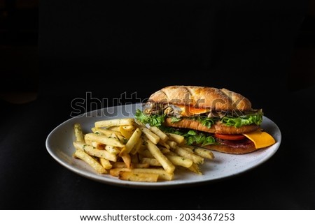Burger Fries and Sandwiches Food Pictures 