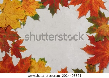 border frame of colorful autumn leaves on gray