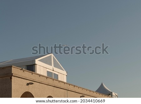 Seagull in flight over the roofs of the building. Evening sun. Copy space