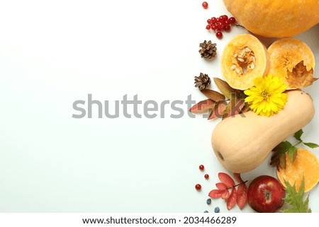 Thanksgiving Day composition with pumpkins on white background