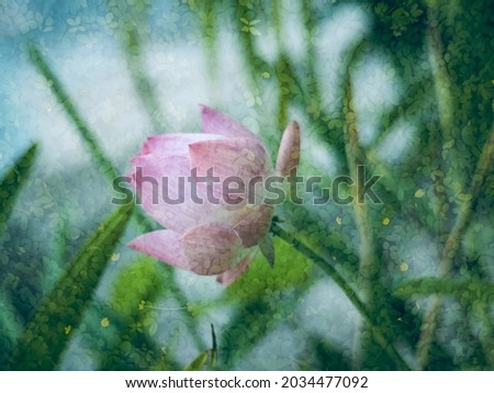 Pictures of lotus flowers and trees