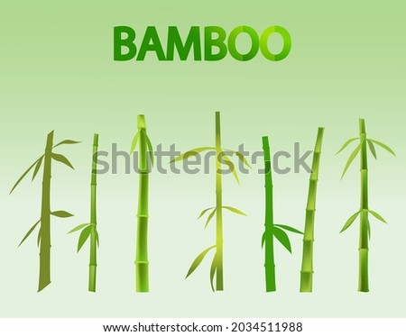 Green bamboo vector element set