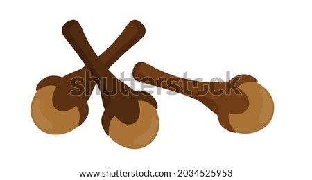 vector clove herb isolated on white, dried clove, clip art clove Royalty-Free Stock Photo #2034525953