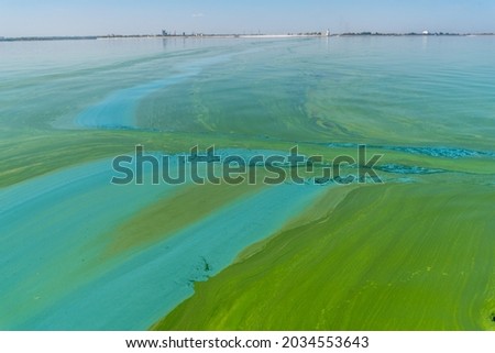 Water pollution by blooming blue-green algae - Cyanobacteria is world environmental problem. Water bodies, rivers and lakes with harmful algal blooms. Ecology concept of polluted nature. Royalty-Free Stock Photo #2034553643