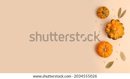 Horizontal pastel background with different sorts of pumpkins on it.Dry autumn leafs and seeds near.Pretty fall backdrop.Large banner,copy space for text