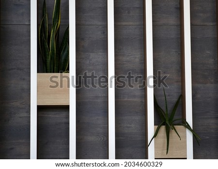 Decorative wooden wall with flower pots. Background. High quality photo Royalty-Free Stock Photo #2034600329