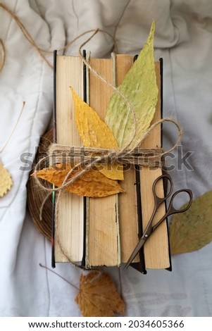 old vintage books and autumn leaves on a light background