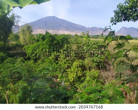The view under Mount Rinjani Indonesia