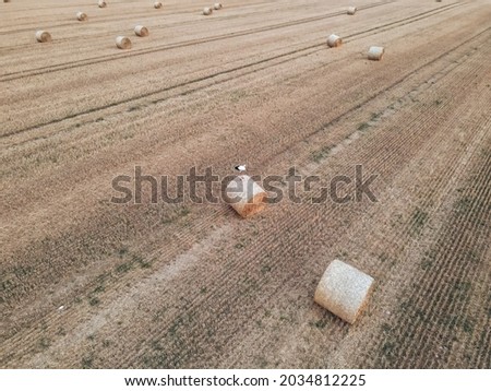 Photo of Latvian fields in the vicinity of Cesis