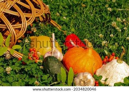 a wicker basket of bright colorful seasonal vegetables, still life of pumpkin, squash, garlic, autumn harvest