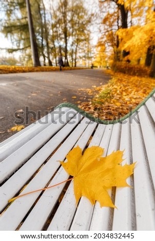 Yellow fallen maple leaf on white bench in public park. Selective focus on foliage, colorful blurred background. Sunny day. Autumnal concept. Copy space. Change of season. Vertical photo.