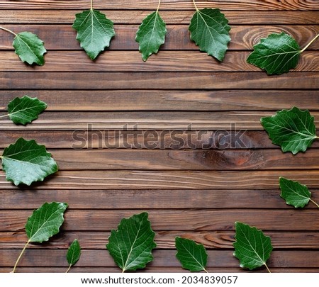 green leaves on a wooden background, top view.	