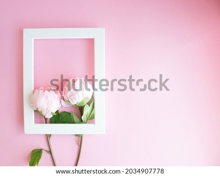 Two beautiful flower placed inside the white frame on pink background at left side, space for text or picture, top view