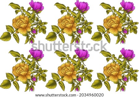 Watercolor painting of rose hip flowers and leaves, hand drawn floral illustration isolated on a white background
