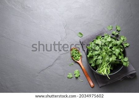 Bunch of fresh aromatic cilantro on grey table, flat lay. Space for text