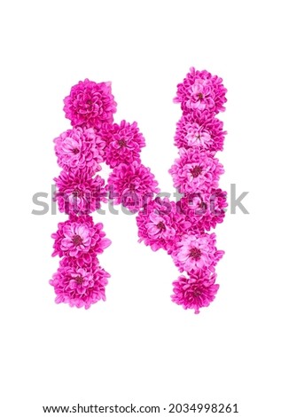 Letter N made of flowers, figures from pink Chrysanthemum, isolated on white background.