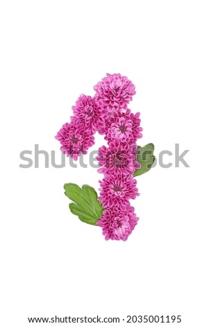 Number one of flowers, figures from pink Chrysanthemum, isolated on white background