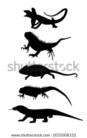 Lizards reptile set symbols. Frilled lizard symbol. Pet iguana silhouette. Chameleon shape shadow. Komodo dragon vector silhouette illustration isolated on white background. Varanus Komodo monitor.  