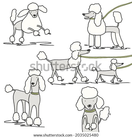 Poodle Dog Playful Fun Illustration 