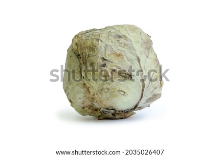on a white background head of cabbage. Cabbage showing signs of rotting. Spoiled. old. Horizontal photo. Incorrect storage of food