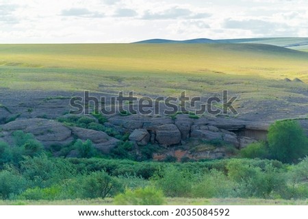 steppe, prairie, veld, veld - Great steppe, located in Kazakhstan. These are huge stretches of flat meadows with moderate temperatures, moderate rainfall and few trees.