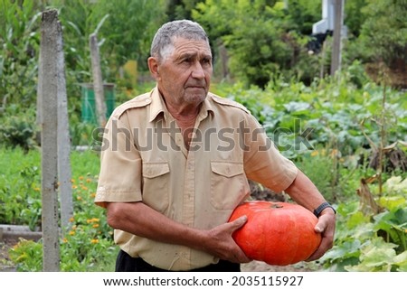 Old farmer carries pumpkin from a garden, happy elderly man with new harvest. Work on farm, life in retirement