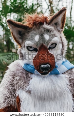 Portrait photo of a furry guy in its fursuit. Male wolf dog husky costume in the wild. Brown, gray and white.  Royalty-Free Stock Photo #2035119650