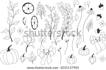 Vector autumn set with doodle elements of branches with leaves, flowers, berries, foliage, pumpkins, anchors, orange slices, bows. Hello, autumn. Collections of elements for decoration, design