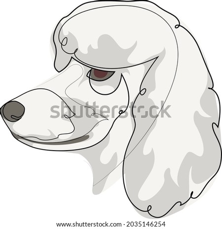 Continuous line White French Poodle. Single line minimal style Poodle dog vector illustration. Portrait.