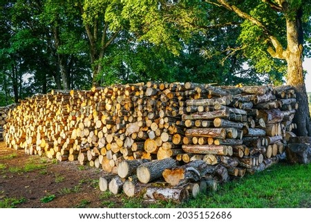 a large pile of firewood under the open sky