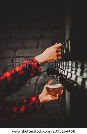 bartender woman's hand holds a glass and pours light craft beer from the tap. taproom