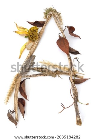 Letter A made of dried flowers isolated on a white background.