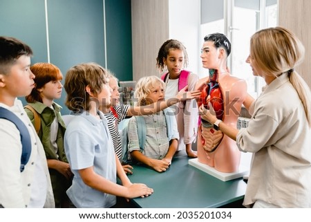 Teacher explaining showing internal organs at the educational dummy manikin at the biology lesson class. Anatomy lesson at school Royalty-Free Stock Photo #2035201034