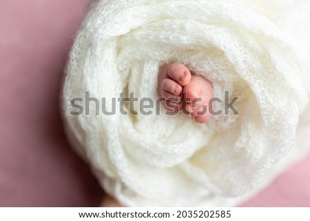 legs of a newborn girl. legs on a pink background. baby feet