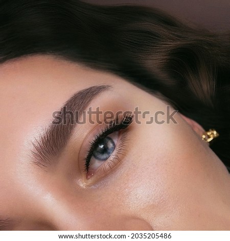 Photo of eyelash extensions.Cat eye. Royalty-Free Stock Photo #2035205486