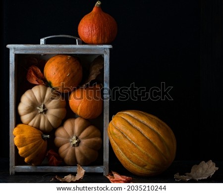 orange and brown pumpkins are lying in a box on a dark background, a place for text, autumn mood. High quality photo
