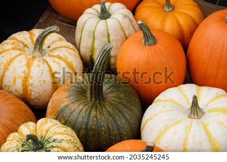 Pile of many multi colored pumpkins and gourds of different shapes and colors. Different kinds Colorful pumpkins decoration