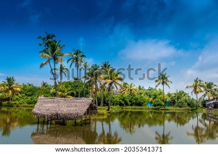 Kochi, Kerala, India - 2012: Village scene in the flooded backwaters of Vypin Island near Kochi. Royalty-Free Stock Photo #2035341371