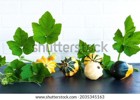 decorative pumpkins with leaves against the background of a white brick wall. autumn decoration
