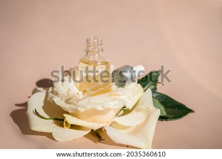 Aromatherapy. White blossom and petals, rose essential oil in glass bottle. . High quality photo