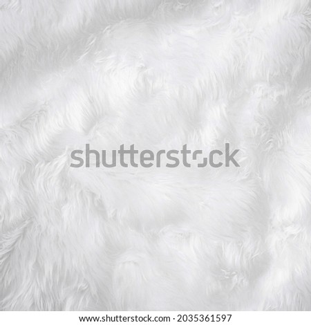 Closeup animal white wool sheep background in top view light natural detail, grey fluffy seamless cotton texture. Wrinkled lamb fur coat skin, rug mat raw material fleece woolly textile concept square