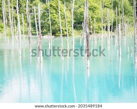 Biei's tourist destination "Blue Pond" in Hokkaido 