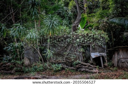 ruins of abounded leper colony (leproserium) at Curieuse island in Seychelles Royalty-Free Stock Photo #2035506527