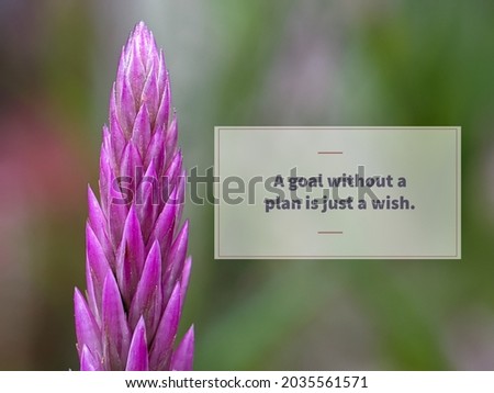 A goal without a plan is just a wish. Closeup image of flower with quote.